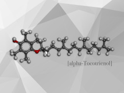 evitaminprostata