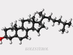 cholesterol