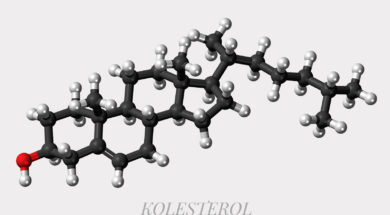 cholesterol